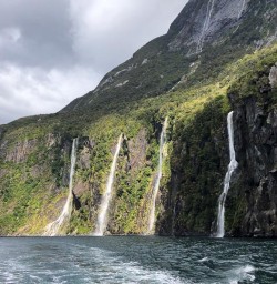 Milford Sound waterfalls 10FEB25