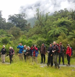 The Milford Track
