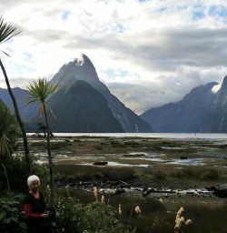 Milford Sound in the evening
