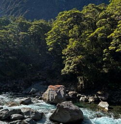 Milford Track 20JAN25