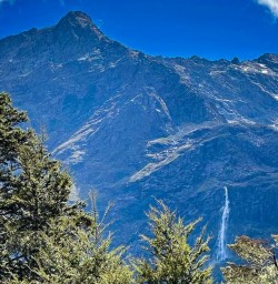 Milford Track 25FEB25