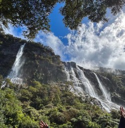 Milford Track Fiords GW23FEB25