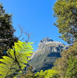 Milford Track GE10FEB25