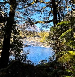 Milford Track GW09JAN25