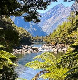 Milford Track New Zealand GE10FEB25