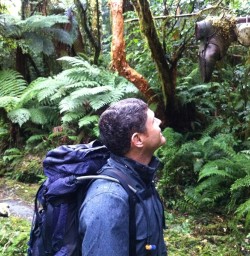 old relic of Milford Track