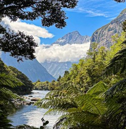 Milford Track fiords 25FEB25