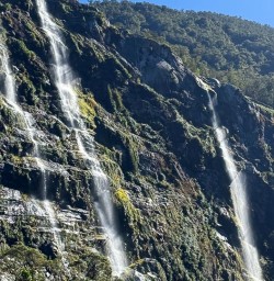 Milford Track fiords G03MAR25