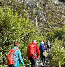 Milford Track guided hiking tour 16MAR25