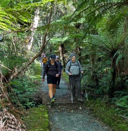 Milford Track guided hiking tour 24MAR25