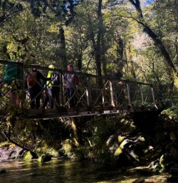 Milford Track guided hiking tour G03MAR25