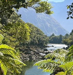 Milford Track hike 20JAN25