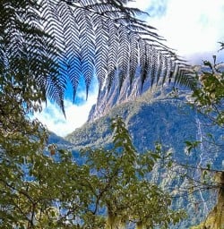 Milford Track hiking tour 16MAR25