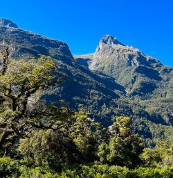 Milford Track hiking tour GW09JAN25