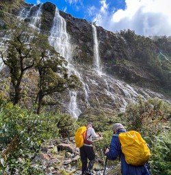 Milford Track hiking tour GW23FEB25