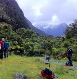 Milford Track walkers enjoying misty peaks