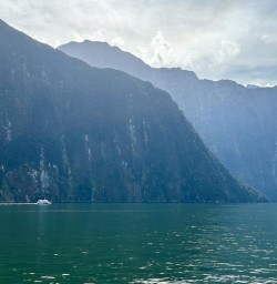 Milford sound Cruise boat