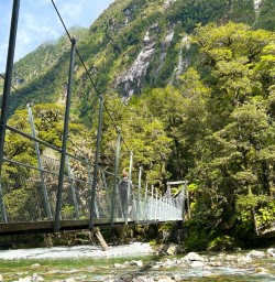 Milford track bridge GW10FEB26
