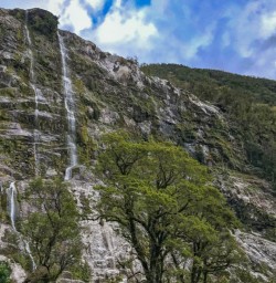 Millford Track waterfall and native bush
