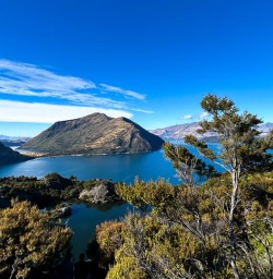 Mou Waho Island hiking tour G24FEB25