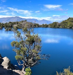 Mou Waho Island in Wanaka GE19JAn26