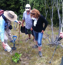 Tree Planting Mou Waho Island