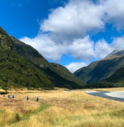 Mount Aspiring New Zealand 17FEB25