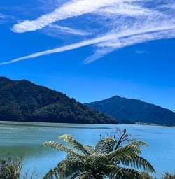 Nelson 17FEB25