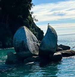 Nelson 24FEB25
