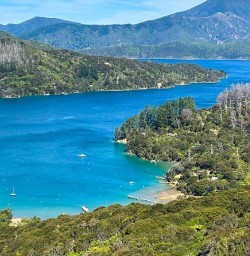 Nelson New Zealand 17FEB25