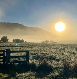 New Zealand South Island M17MAR25