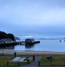 New Zealand Stewart Island GW09JAN25