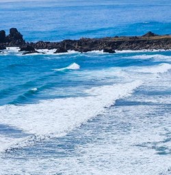 New Zealand West Coast 03FEB25