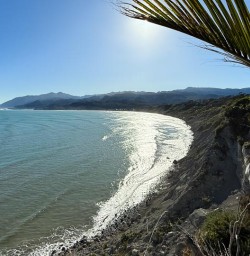 New Zealand West Coast G03MAR25