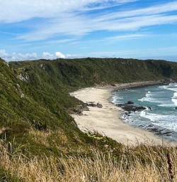 New Zealand West Coast beach 03FEB25