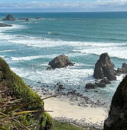 New Zealand West Coast beaches 03FEB25