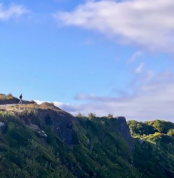 New Zealands West Coast 17FEB25