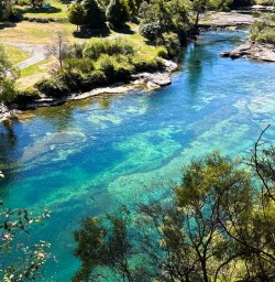 North Island New Zealand hiking tour 11FEB25