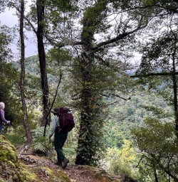 Nydia Track K24MAR25