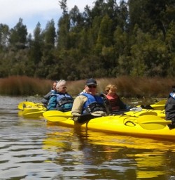 Kayaking Okarito Lagoon