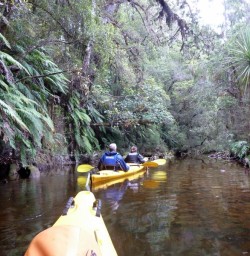 Kayak Okarito Lagoon