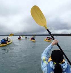 Kayaking on Okarito Lagoon