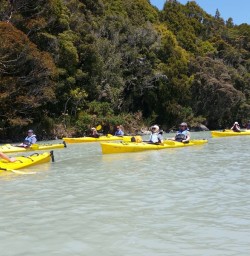 Okarito Lagoon