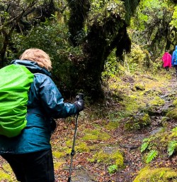 Our guests exploring the unique landscapes of Matahuru Valley.Hike Matahuru 17FEB25