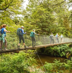 PS March Kepler bridge crossing