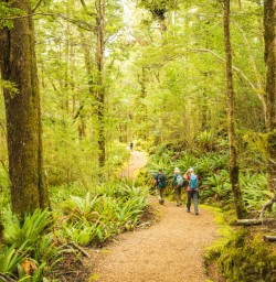 PS March group walking Kepler Track