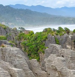 Pancake Rocks M24MAR25