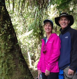 Paparoa Forest Hiking