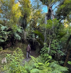 Paparoa G03MAR25