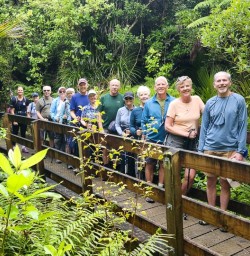 Paparoa GE10FEB25
